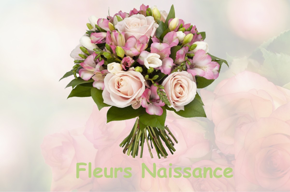 fleurs naissance EQUILLY